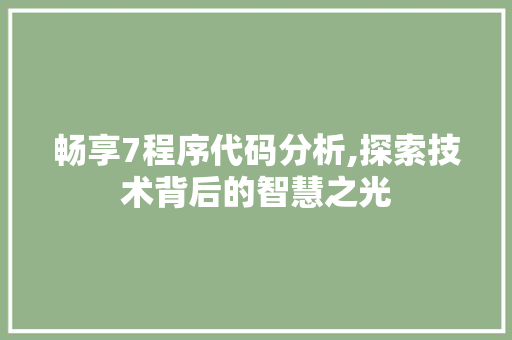 畅享7程序代码分析,探索技术背后的智慧之光 市场营销范文