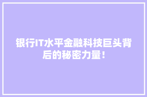 银行IT水平金融科技巨头背后的秘密力量！ 项目报告