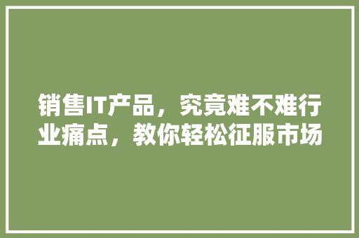 销售IT产品，究竟难不难行业痛点，教你轻松征服市场！ 后端技术