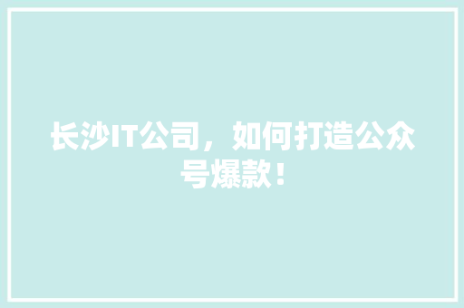 长沙IT公司，如何打造公众号爆款！ 项目报告