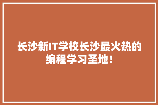 长沙新IT学校长沙最火热的编程学习圣地！ 项目报告