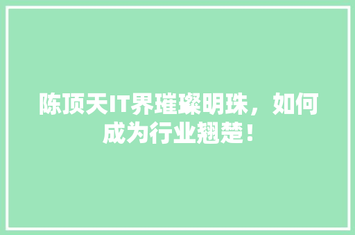 陈顶天IT界璀璨明珠，如何成为行业翘楚！ 项目报告