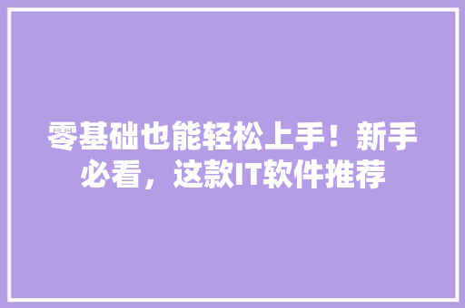 零基础也能轻松上手！新手必看，这款IT软件推荐 后端技术