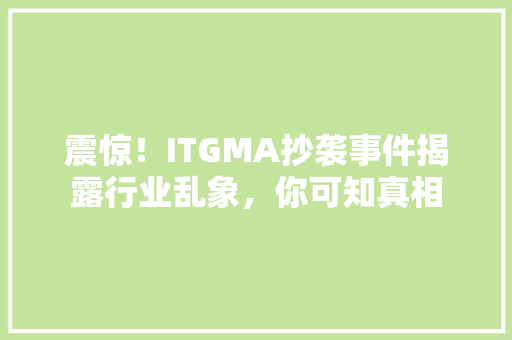 震惊！ITGMA抄袭事件揭露行业乱象，你可知真相