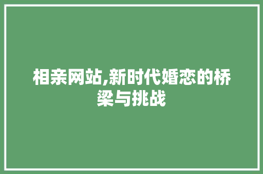 相亲网站,新时代婚恋的桥梁与挑战