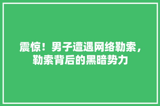 震惊！男子遭遇网络勒索，勒索背后的黑暗势力 项目报告