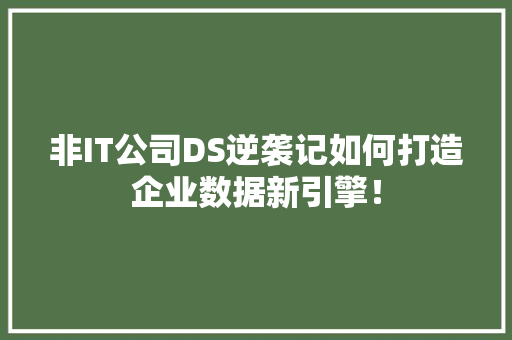非IT公司DS逆袭记如何打造企业数据新引擎！ 前端技术