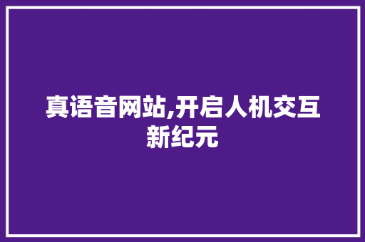 真语音网站,开启人机交互新纪元