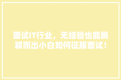 面试IT行业，无经验也能脱颖而出小白如何征服面试！ 商务信函