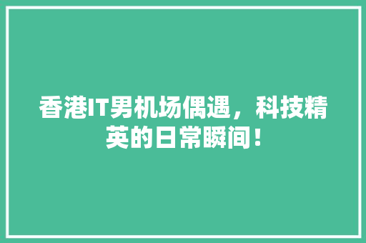 香港IT男机场偶遇，科技精英的日常瞬间！ 市场营销范文