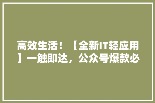高效生活！【全新IT轻应用】一触即达，公众号爆款必看！ 网站建设