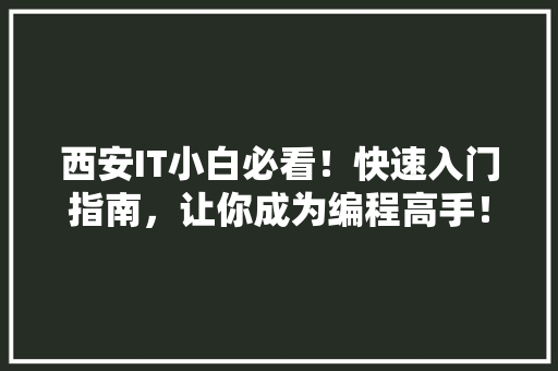 西安IT小白必看！快速入门指南，让你成为编程高手！ 项目报告