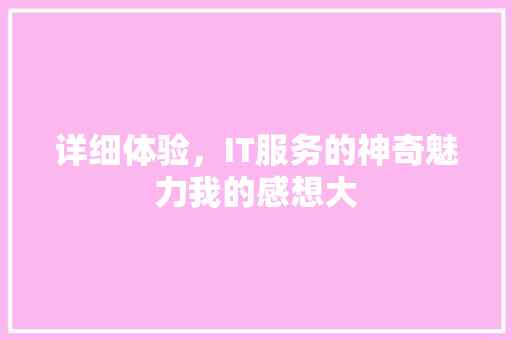 详细体验，IT服务的神奇魅力我的感想大 MySQL