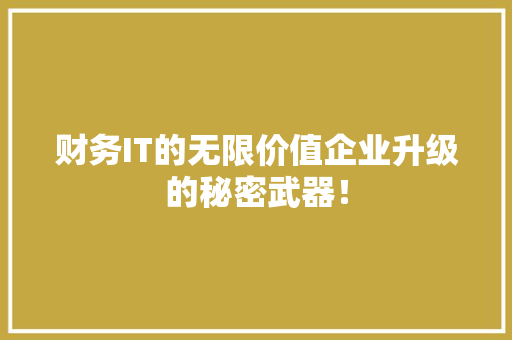 财务IT的无限价值企业升级的秘密武器！