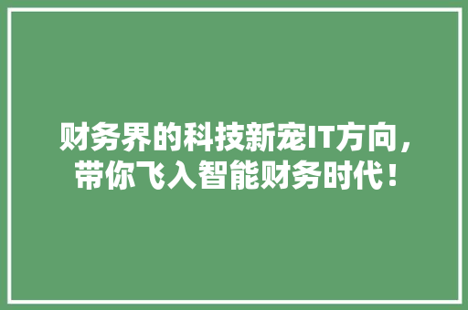财务界的科技新宠IT方向，带你飞入智能财务时代！ 网站建设