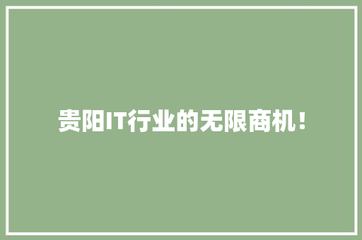 贵阳IT行业的无限商机！