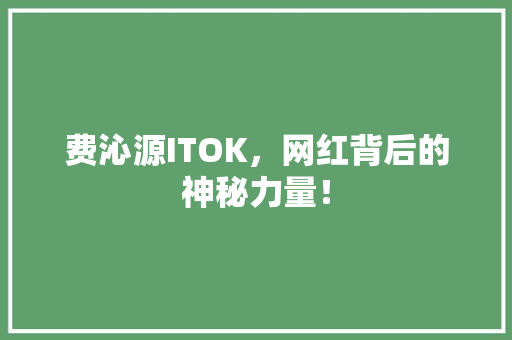 费沁源ITOK，网红背后的神秘力量！ 后端技术