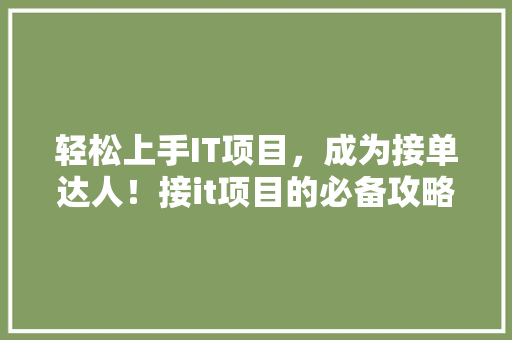 轻松上手IT项目，成为接单达人！接it项目的必备攻略！ 网站建设