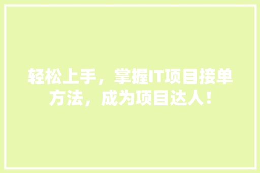 轻松上手，掌握IT项目接单方法，成为项目达人！ 网站建设