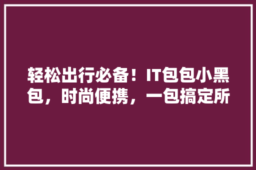 轻松出行必备！IT包包小黑包，时尚便携，一包搞定所有需求 市场营销范文