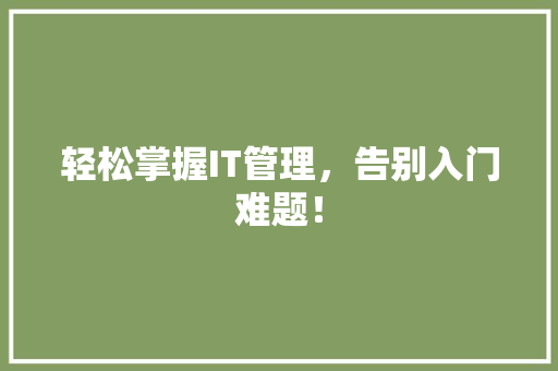 轻松掌握IT管理，告别入门难题！