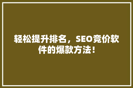 轻松提升排名，SEO竞价软件的爆款方法！ 项目报告