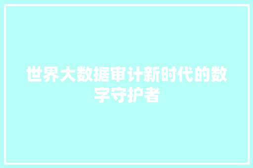 世界大数据审计新时代的数字守护者 网站建设