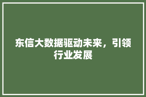 东信大数据驱动未来，引领行业发展