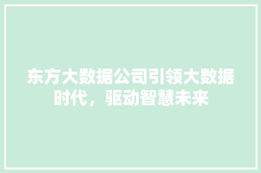 东方大数据公司引领大数据时代，驱动智慧未来