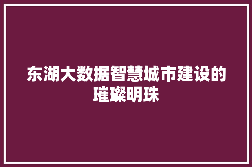 东湖大数据智慧城市建设的璀璨明珠