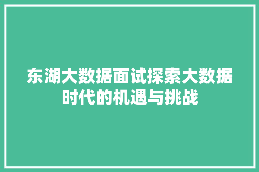 东湖大数据面试探索大数据时代的机遇与挑战 网站建设