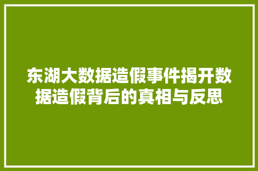 东湖大数据造假事件揭开数据造假背后的真相与反思