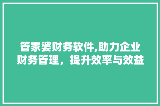 管家婆财务软件,助力企业财务管理，提升效率与效益