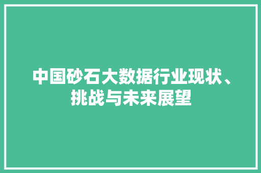 中国砂石大数据行业现状、挑战与未来展望 项目报告