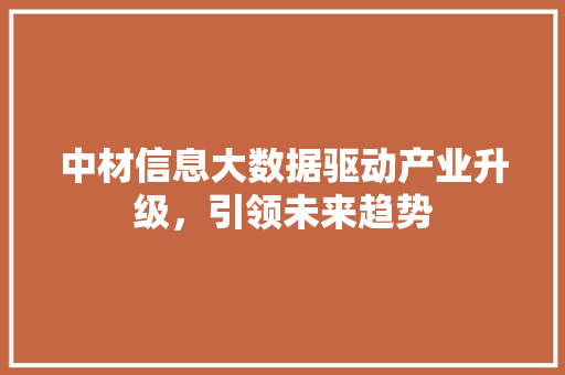 中材信息大数据驱动产业升级，引领未来趋势 后端技术