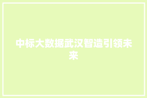中标大数据武汉智造引领未来