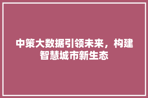 中策大数据引领未来，构建智慧城市新生态