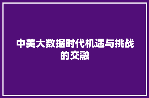 中美大数据时代机遇与挑战的交融