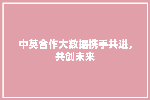 中英合作大数据携手共进，共创未来