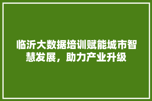临沂大数据培训赋能城市智慧发展，助力产业升级