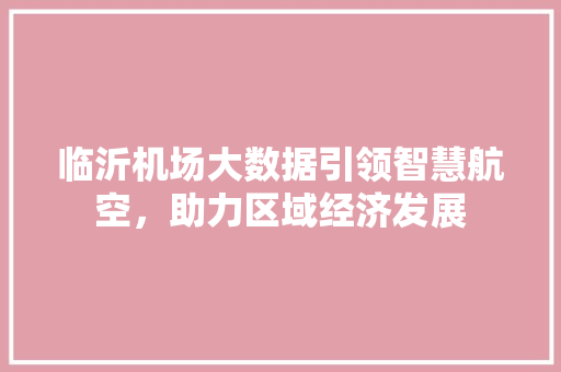 临沂机场大数据引领智慧航空，助力区域经济发展