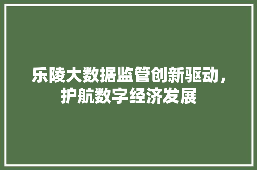 乐陵大数据监管创新驱动，护航数字经济发展