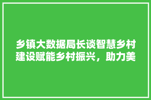 乡镇大数据局长谈智慧乡村建设赋能乡村振兴，助力美好生活