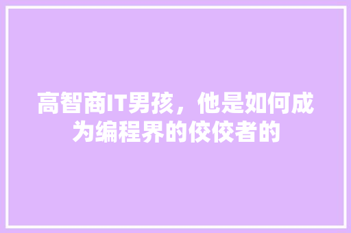 高智商IT男孩，他是如何成为编程界的佼佼者的 后端技术