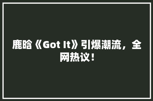 鹿晗《Got It》引爆潮流，全网热议！ 项目报告