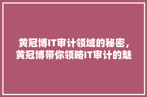 黄冠博IT审计领域的秘密，黄冠博带你领略IT审计的魅力！ 项目报告