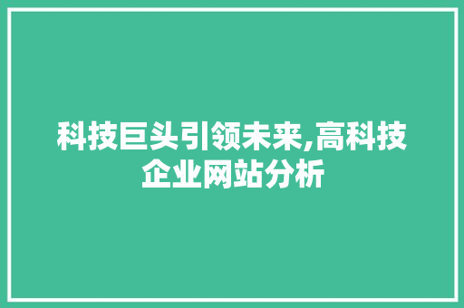科技巨头引领未来,高科技企业网站分析 后端技术
