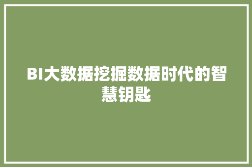 BI大数据挖掘数据时代的智慧钥匙
