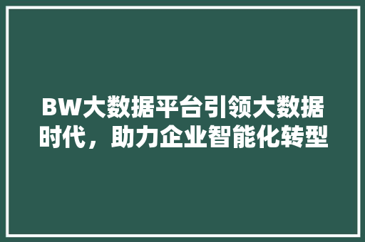 BW大数据平台引领大数据时代，助力企业智能化转型