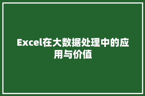 Excel在大数据处理中的应用与价值
